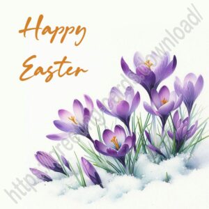 Happy Easter white laconic greeting card with crocuses.