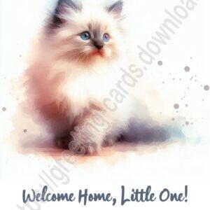 New Pet greeting card with Ragdoll cat / kitten.